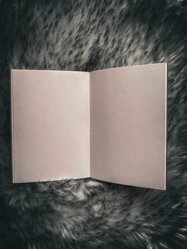 Libreta en blanco dragón vikingo - Imagen 4