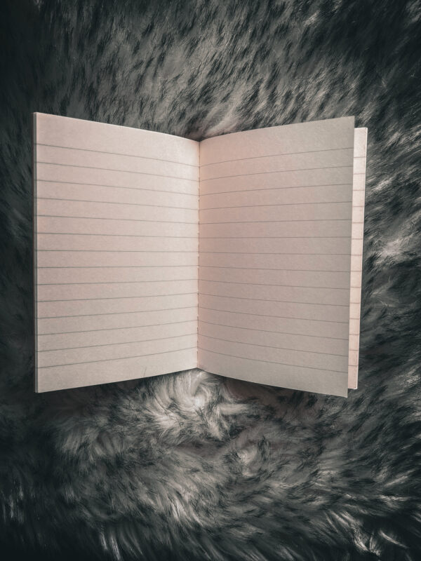 Libreta lineas dragón vikingo - Imagen 3