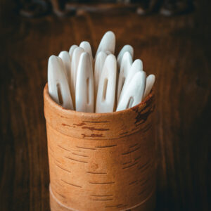 D1C1F9B2-B7B0-4FE1-B751-E114C6DA131D-7437-00002E8FEC916B3C Aguja de hueso